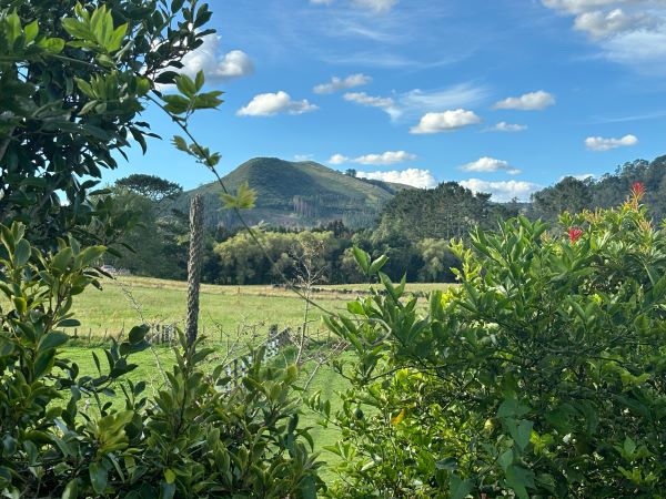 View of hill from Wenlock street, Waihi